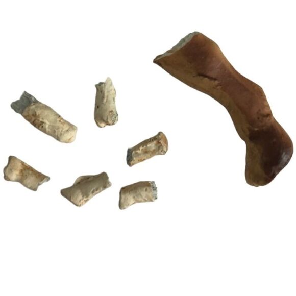 19 PIECE POSSIBLY ANTIQUE HAND PAINTED NATIVITY MADE IN ITALY - Picture 14 of 16